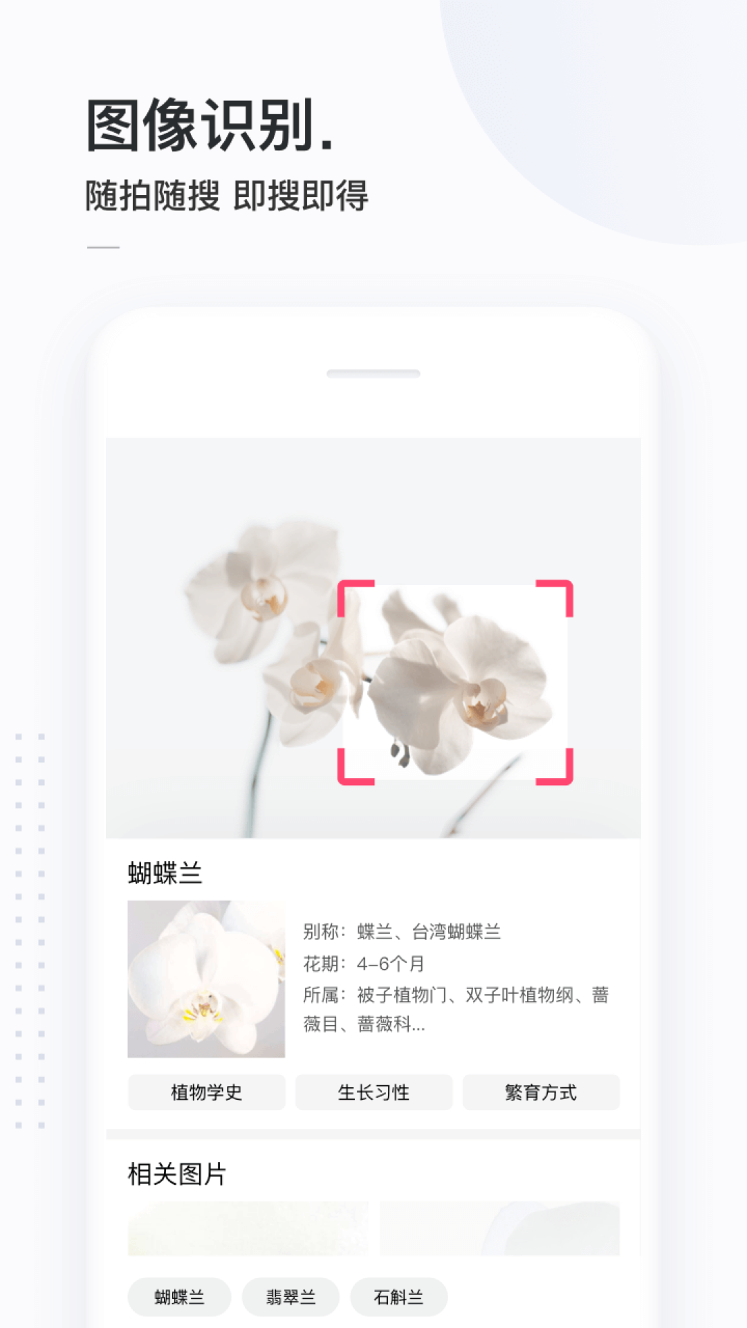 简单搜索官方版APP-简单搜索软件下载安装截图3