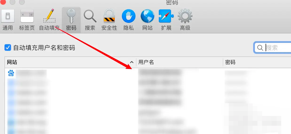 怎么查看safari保存的密码