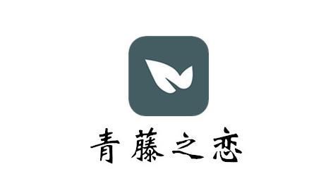 全网最受欢迎的社会软件排行榜