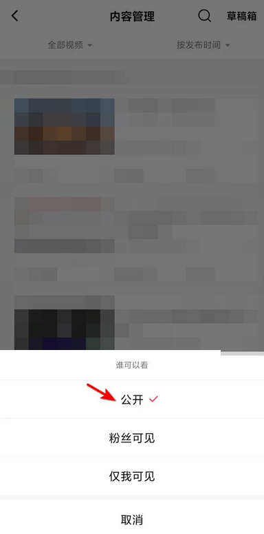 西瓜视频如何设置公开可见