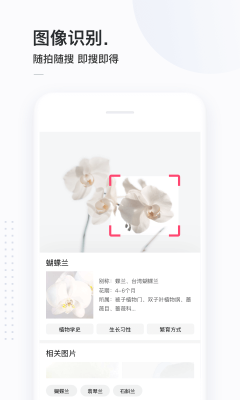 简单搜索app老版本-简单搜索旧版本下载截图3