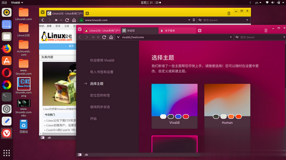 vivaldi浏览器官网下载最新正式版本2.0